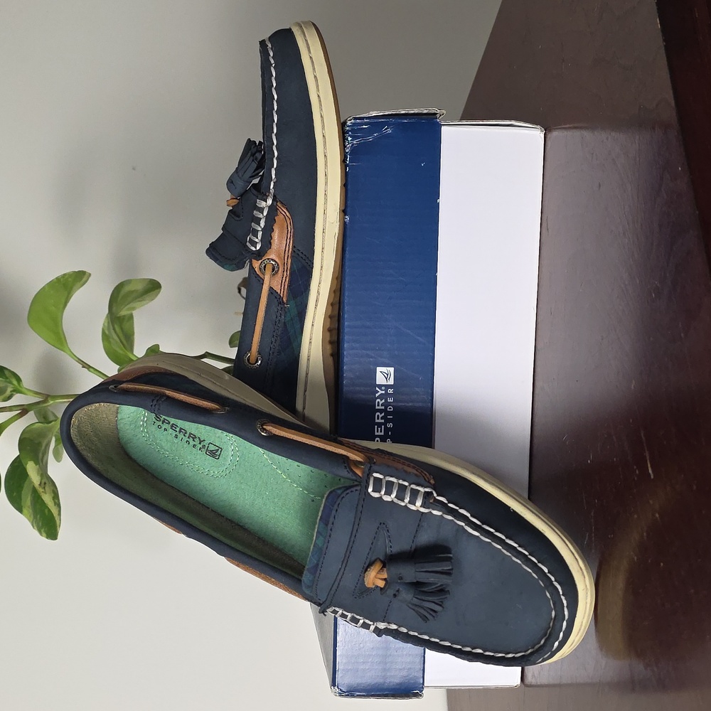 Sperry Top-Sider Navy and Brown Boat Shoes